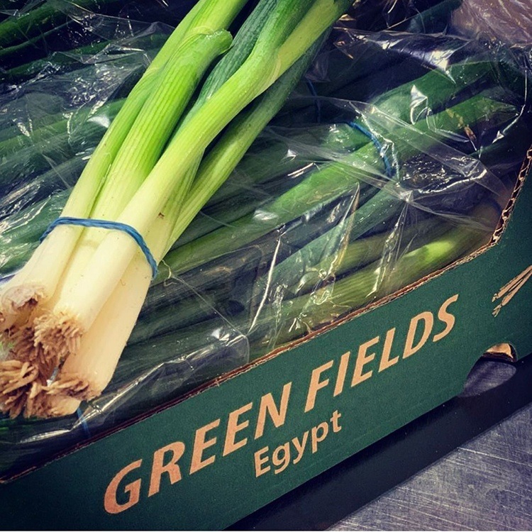 spring onion