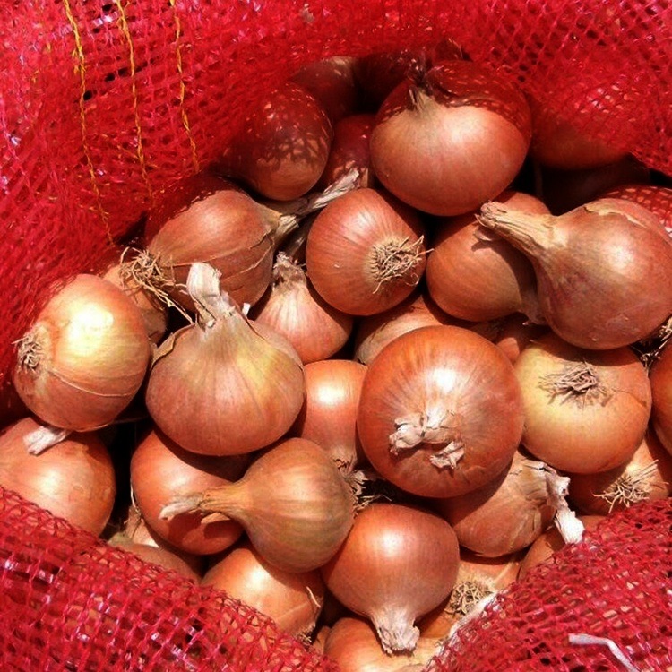 yellow onion