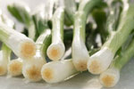 spring onion