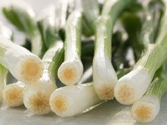 Spring Onion