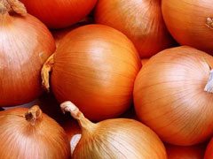 Yellow Onion